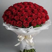 Букет 101 Красная роза Блэк Мэджик в Курсавке