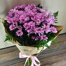 Букет цветов из:  Хризантемы #REPLACE_PRED# Курсавке