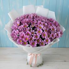 Букет цветов из:  Хризантемы в Курсавке