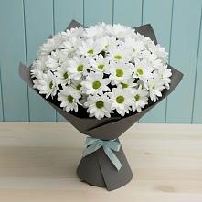 Букет цветов из:  Хризантемы в Курсавке
