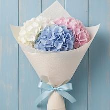 Букет цветов из:  Гортензия в Курсавке