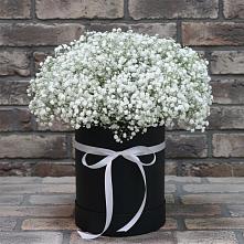 Цветочная композиция из Гипсофила в шляпной коробке в Курсавке