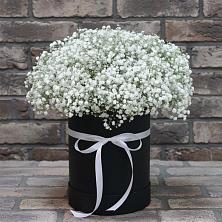 Цветочная композиция из Гипсофила в шляпной коробке в Курсавке
