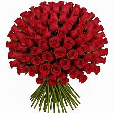 Букет Красные розы Чери Лав в Курсавке
