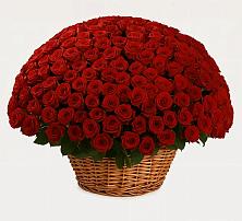 Премиум букет из: Розы в Курсавке