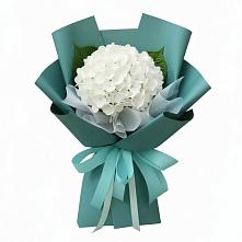 Букет цветов из:  Гортензия в Курсавке